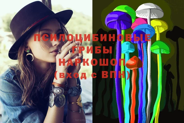 альфа пвп Алексеевка