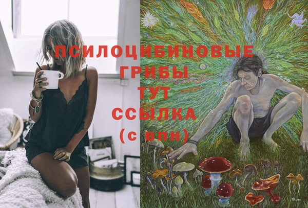 гидра Алзамай