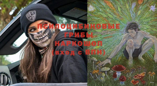 герыч Алексин