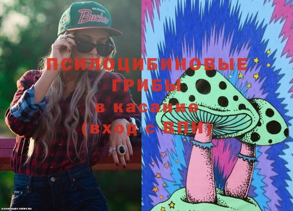 альфа пвп Алексеевка