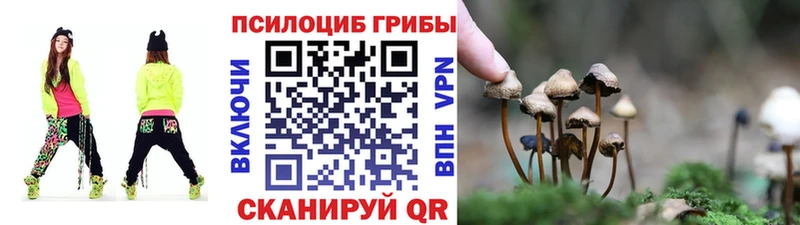 Псилоцибиновые грибы ЛСД  Сургут 