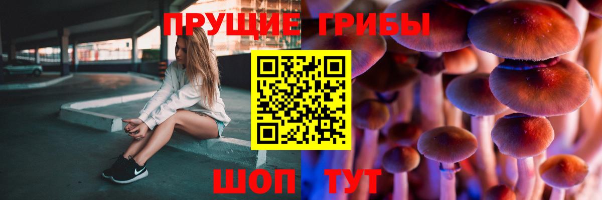 Псилоцибиновые грибы MAGIC MUSHROOMS Сургут